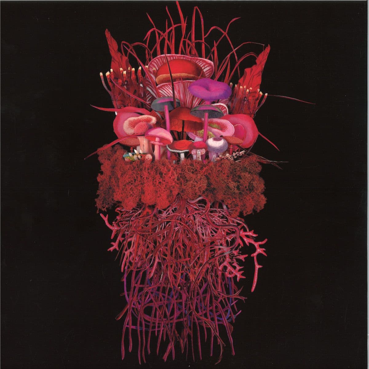 Mycorrhizal Fungi LP