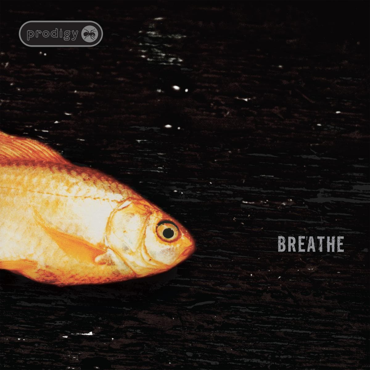 Breathe (30th Anniversary)