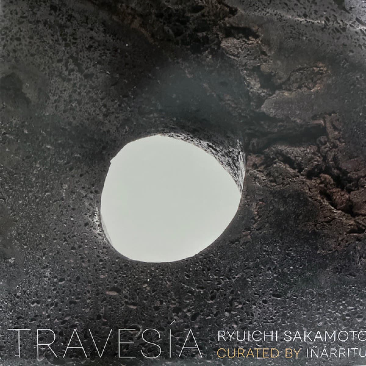 Travesia Ryuichi Sakamoto Curated By Inarritu