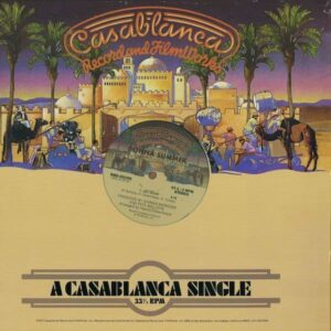 792 NBD20159 Casablanca Records Donna Summer Hot Stuff Bad Girls Disco House 24257