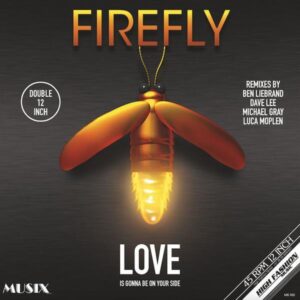 FIREFLY - LOVE IS IS GONNA BE ON YOUR SIDE 2x12" High Fashion Music MS502
