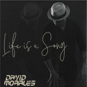 David Morales - Life Is A Song LP (2x12") DRD00079 DIRIDIM